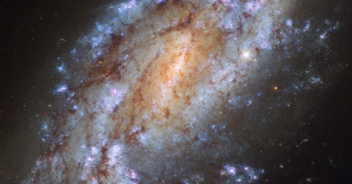 Spiral Galaxy NGC 1559 | Earth Blog