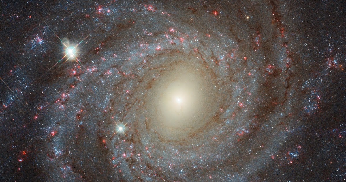 Spiral Galaxy NGC 3344 | Earth Blog