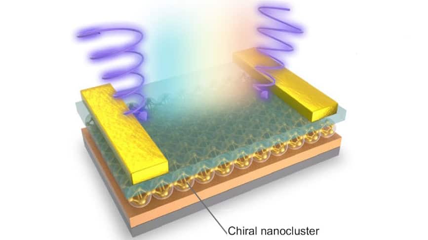 Shrimp-inspired nanoclusters enable multifunctional artificial vision systems – Physics World