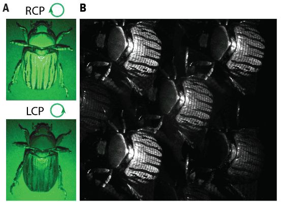 Metasurfaces make a single-shot polarization imaging system – Physics World