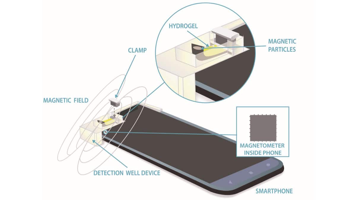 NIST researchers develop magnetics-based analyte sensor – Physics World