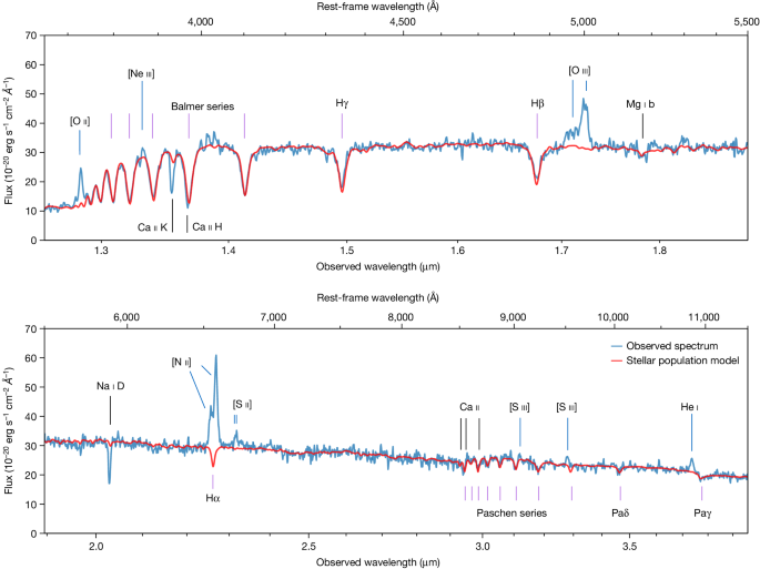 Star formation shut down by multiphase gas outflow in a galaxy at a redshift of 2.45