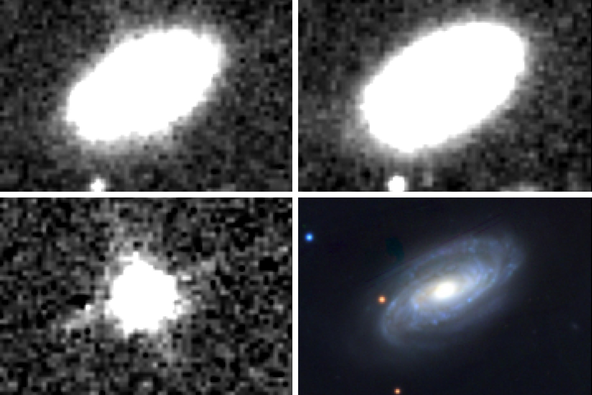 Astronomers detect the closest example yet of a black hole devouring a star | MIT News