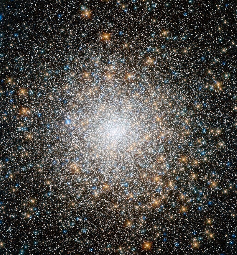 Globular Clusters Should Contain More Intermediate-mass Black Holes