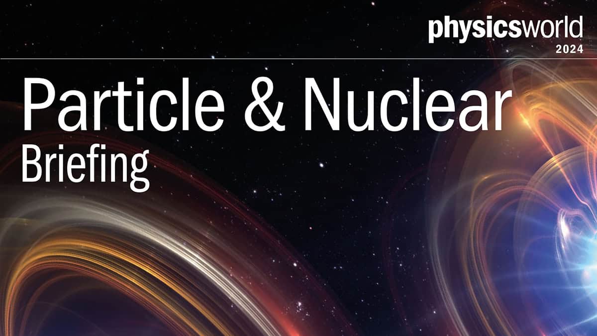 What's hot in particle and nuclear physics? Find out in the latest Physics World Briefing – Physics World