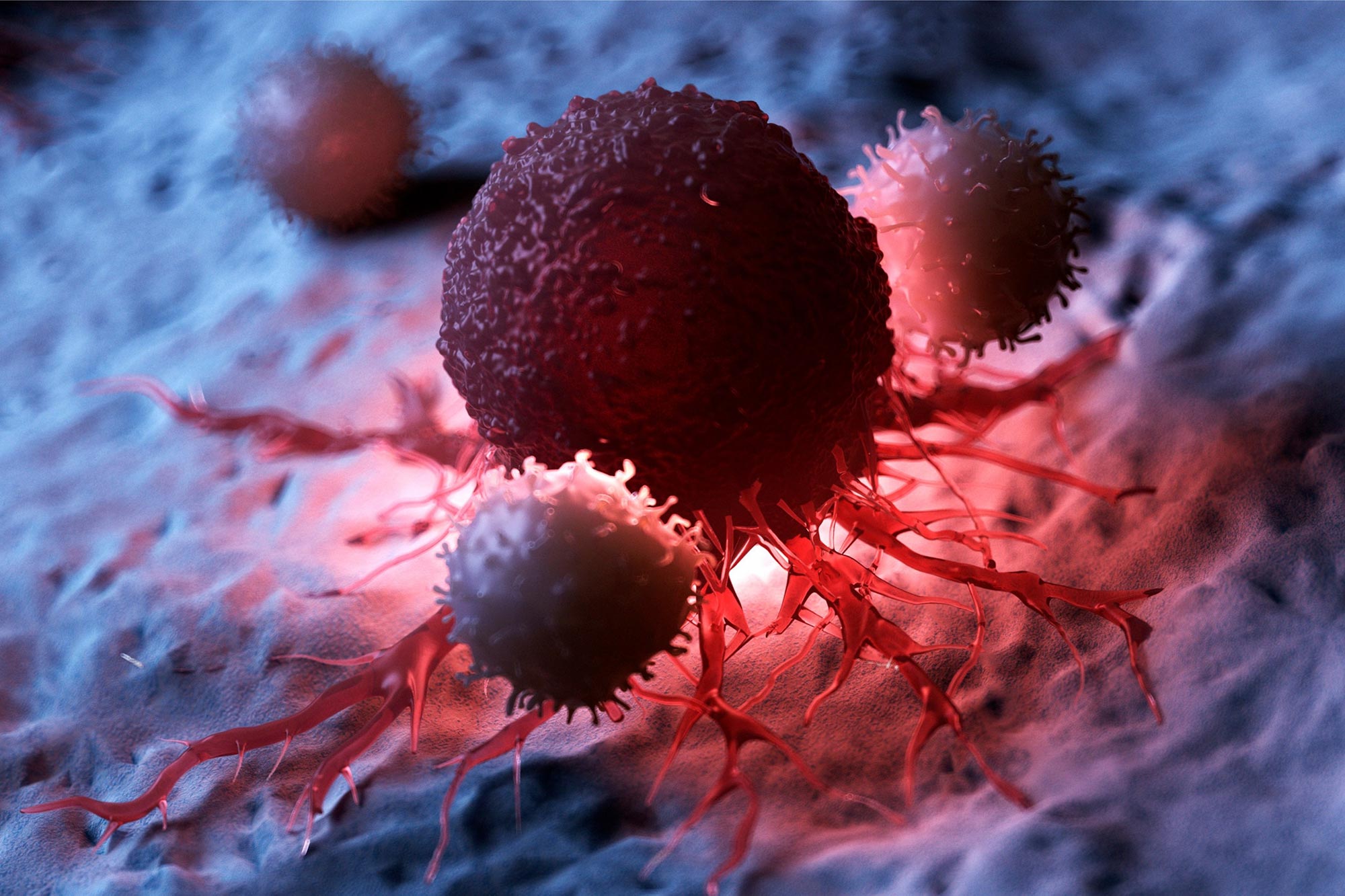 Scientists Discover Game-Changing New Type of T Cells