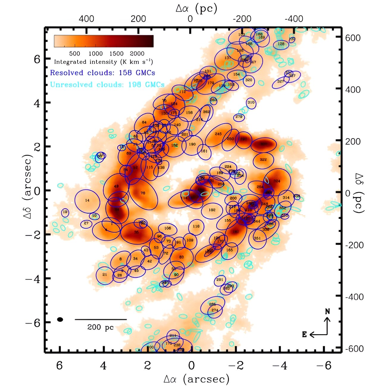 Astronomers investigate giant molecular clouds in the galaxy NGC 613