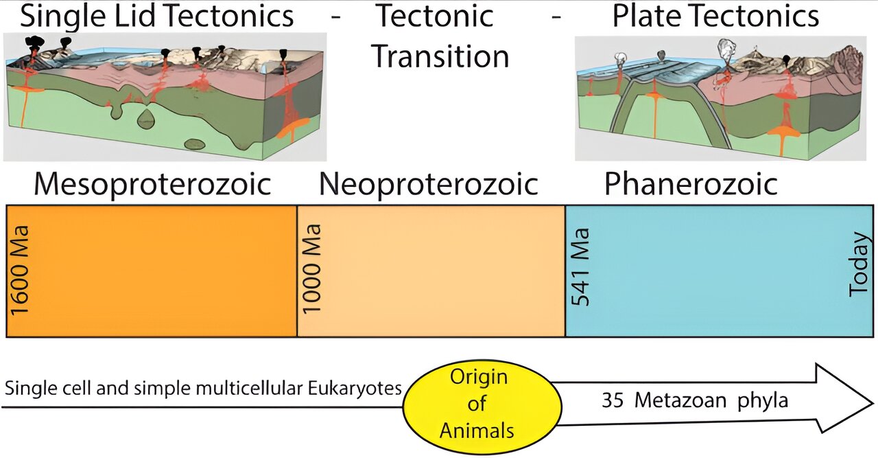 Did Earth's multicellular life depend on plate tectonics?