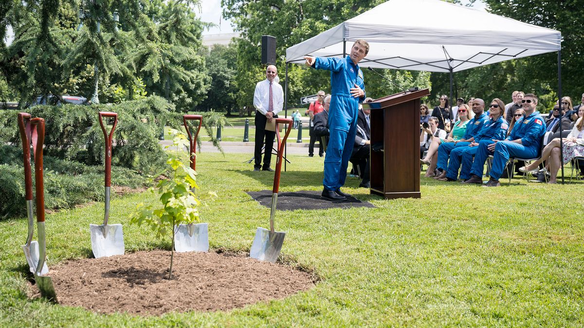 ‘Most unique tree here’: Artemis Moon Tree planted at US Capitol