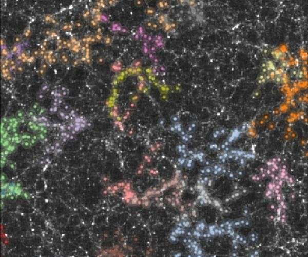 New Study Suggests Dark Matter May Be Self-Interacting