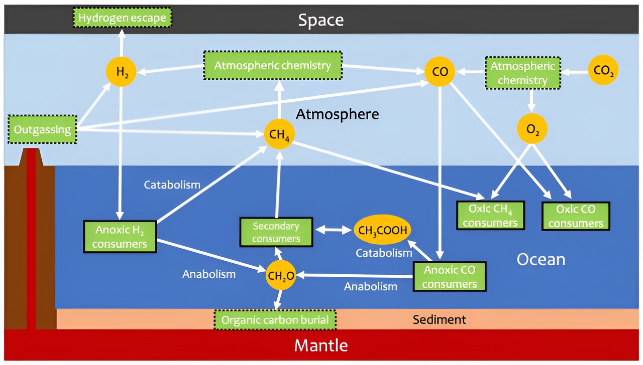 Will we know if TRAPPIST-1e has life?